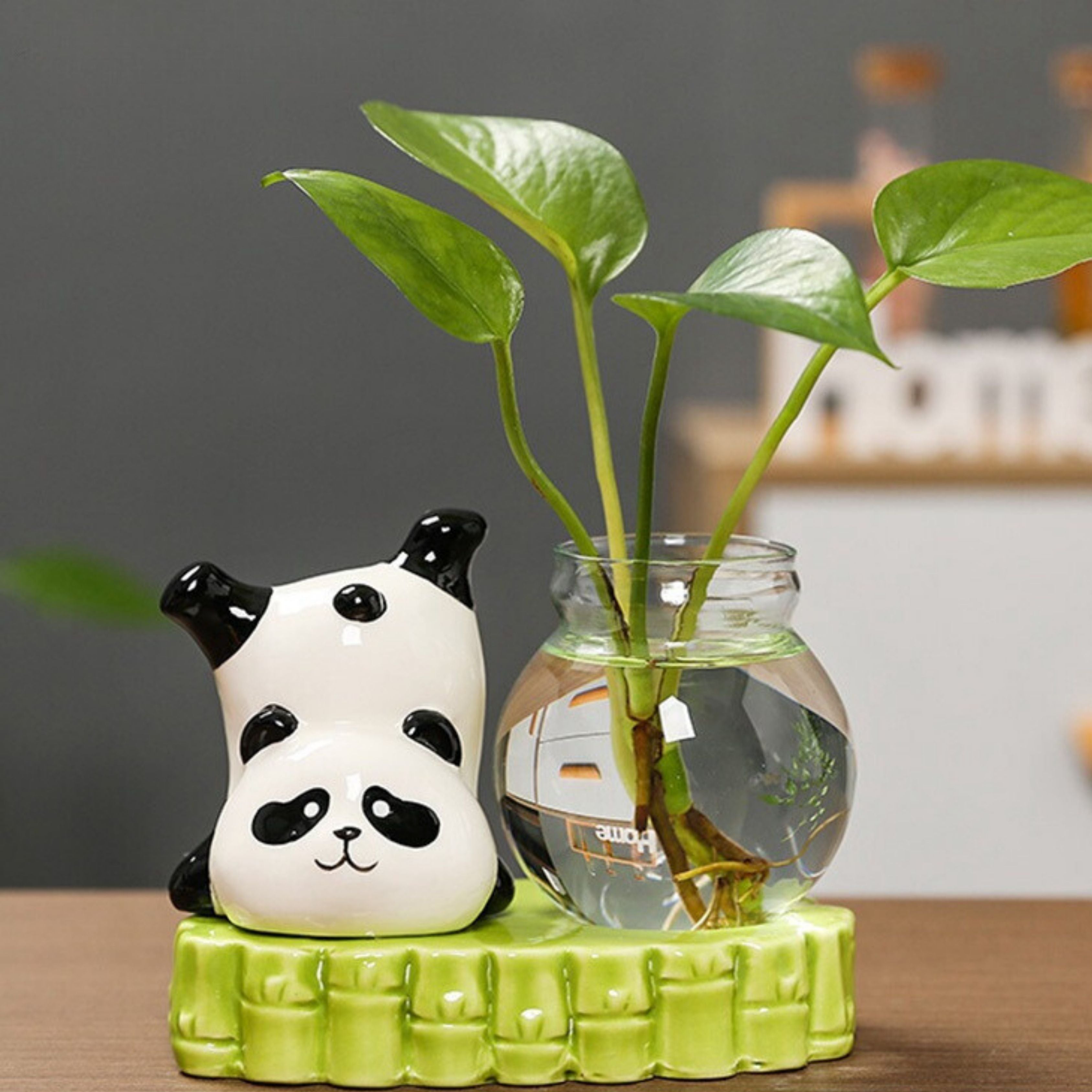 Panda-shaped Ceramic Aqua Plant Vase for Office Desk